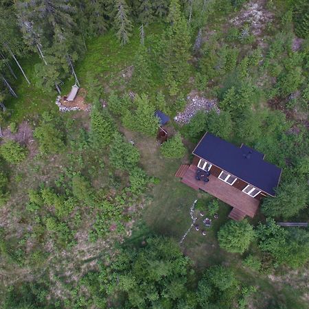 טורסבי Cozy Forest Cabin With Amazing Mountain View מראה חיצוני תמונה