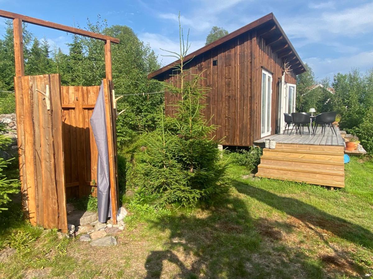 טורסבי Cozy Forest Cabin With Amazing Mountain View מראה חיצוני תמונה