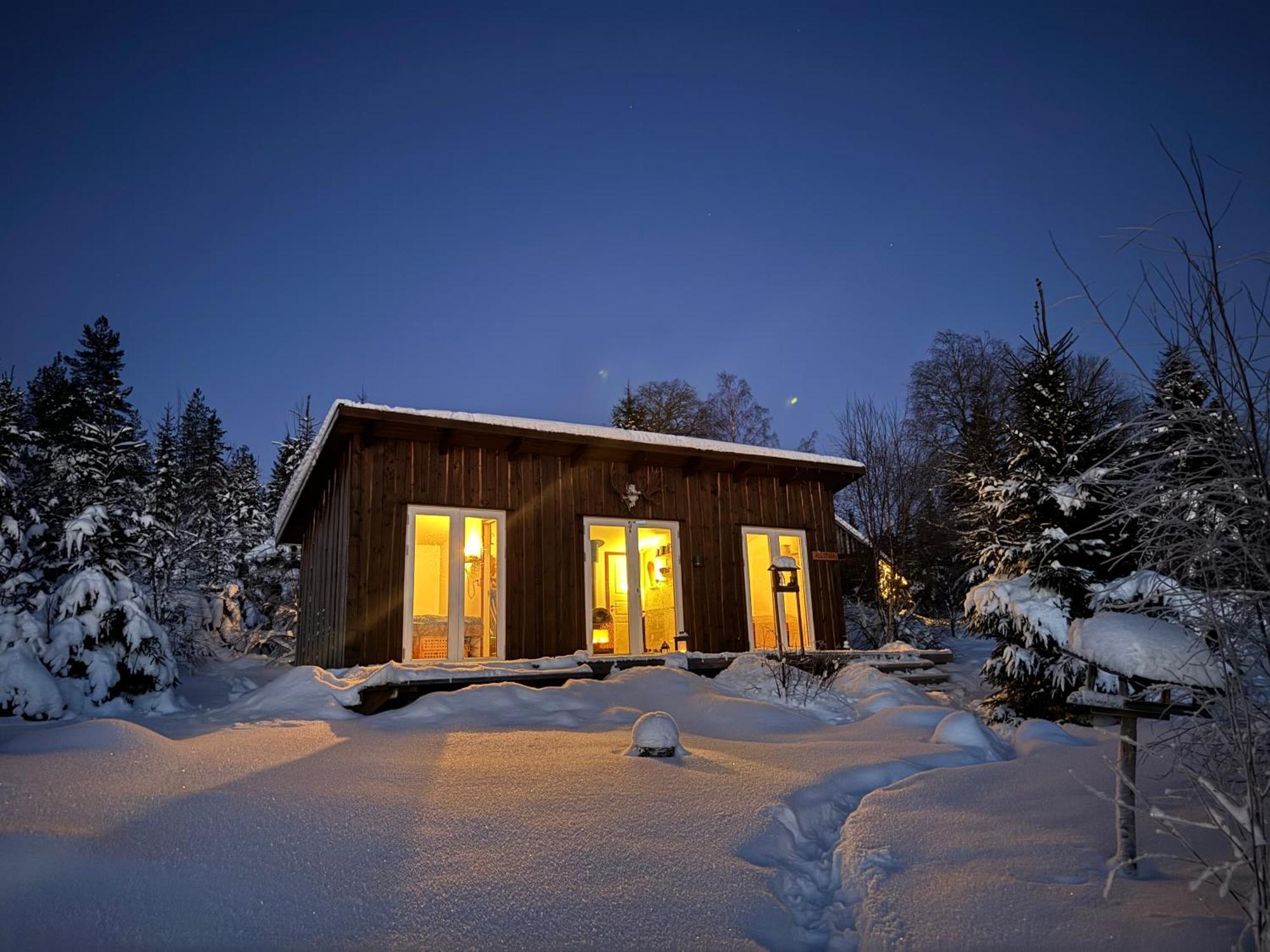 טורסבי Cozy Forest Cabin With Amazing Mountain View מראה חיצוני תמונה